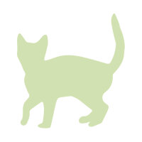 Für Katzen