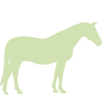 Pferd