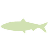 Fisch
