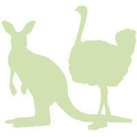 Strauß/Känguru/ Exotisch