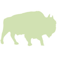 Büffel