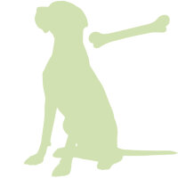 Extra hart &amp; große Hunde - Kauartikel