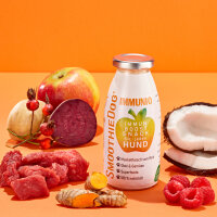 SmoothieDog Hunde Smoothies