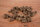 Cookies Trainies Ziege | 100 g [DE]