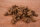 Cookies Trainies Lachs | 100 g [DE]