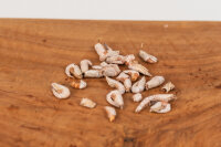 Nordseekrabben gefriergetrocknet | 100 g [DE]