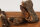 Pferdehaut mit Fell | 100 g [EU]