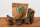 Pferdehaut mit Fell | 100 g [EU]