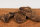 Rinderlunge Steak | 100 g [EU]