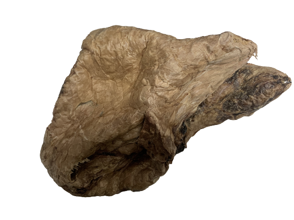 Rinderlunge Jumbo 30cm | 500 g [DE]