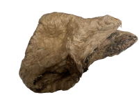 Rinderlunge Jumbo 30cm | 500 g [DE]