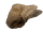 Rinderlunge Jumbo 30cm | 500 g [DE]