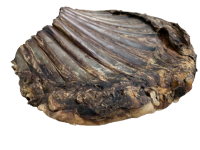 Hirschrippen ganz | 100 g [EU]