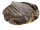 Hirschrippen ganz | 100 g [EU]