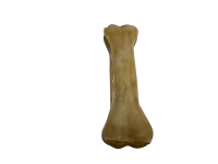 Rinderhautknochen | Stück [EU] 12 cm