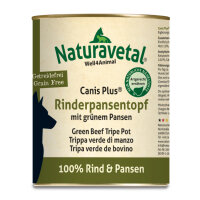Canis Plus® Rinderpansentopf 400 g