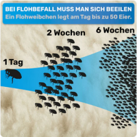 BluePet Flohkamm & Läusekamm für Hunde & Katzen