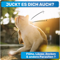 BluePet Flohkamm & Läusekamm für Hunde & Katzen