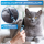 BluePet Flohkamm & Läusekamm für Hunde & Katzen