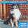 BluePet Flohkamm & Läusekamm für Hunde & Katzen