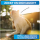 BluePet Flohkamm & Läusekamm für Hunde & Katzen