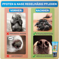 BluePet Pfotenbalsam & Nasenbalsam für Hunde