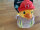 FuzzYard Firequacker