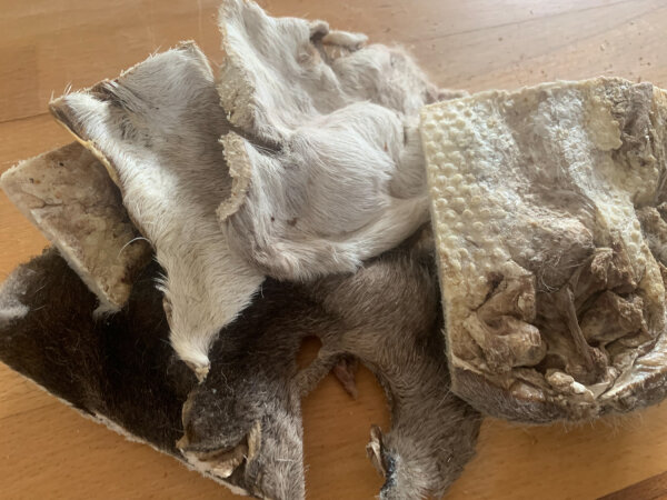Lammkopfhaut mit Fell gefriergetrocknet | 100 g [DE]