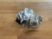 Lammkopfhaut mit Fell gefriergetrocknet | 100 g [DE]