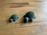 Veggie Schildkröte | Stück [EU] M