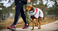 Non-Stop Trekking Fleece Jacke