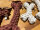 Spielzeug Dente Rope