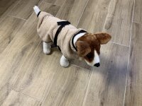 Dryup Cape Mops/Frz. Bulldogge