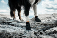 Non-Stop dogwear Protector Booties
