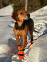 Non-Stop dogwear Contact Bootie high