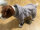 FuzzYard Tracksuit urban