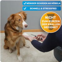 BluePet Robuste Krallenfeile & Nagelfeile für...
