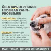 Noms+ Enzymodent: Enzymatische Zahnpasta für Hunde