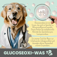 Noms+ Enzymodent: Enzymatische Zahnpasta für Hunde