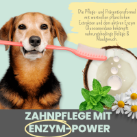 Noms+ Enzymodent: Enzymatische Zahnpasta für Hunde