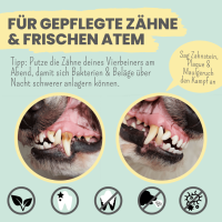 Noms+ Enzymodent: Enzymatische Zahnpasta für Hunde