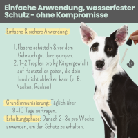 Noms+ Wasserfestes Zpot-on für Hunde gegen Zecken, Flöhe, Milben & Mücken