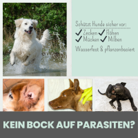 Noms+ Wasserfestes Zpot-on für Hunde gegen Zecken, Flöhe, Milben & Mücken