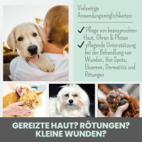 Noms+ Silberspray für Hunde und Katzen mit 50ppm
