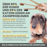 Noms+ Silberling: Antibakterieller Zahnpflege-Fingerling...