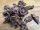 Kaninchen Lungenwürfel | 100 g [EU]
