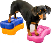 FitPAWS Bone mini