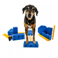 FitPAWS FitKinect Xtra