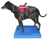FitPAWS Balance Pad
