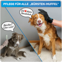 BluePet Fellpflege Handschuhe für Hunde, Katzen...